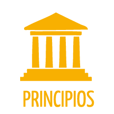 Pricipios Ymca cali